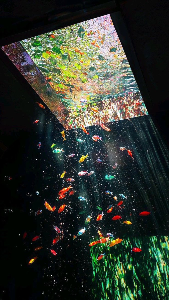 ᅠ ᅠ (@greendreaams) on Twitter photo 