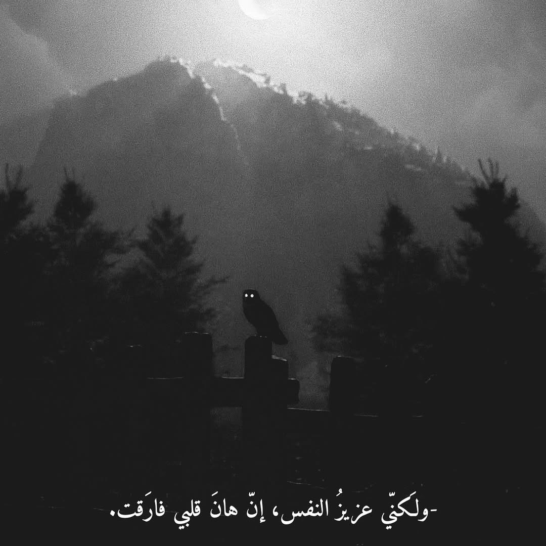 ili1iii's tweet photo. ولكني عزيُز  ألنَفس إن هَان قلْبي فَارقت. https://t.co/bycjpRmIYc
