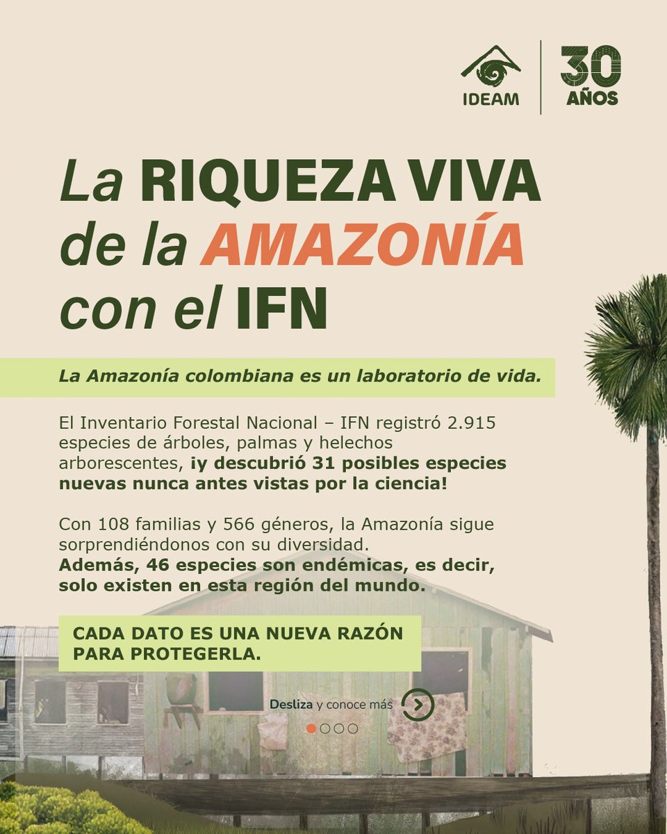 IDEAMColombia's tweet image. Ya está disponible el Inventario Forestal Nacional del #Ideam: una herramienta clave para la gestión, planificación y conservación de los bosques naturales de Colombia.
Consulta aquí el informe completo: bit.ly/4oIA7UE