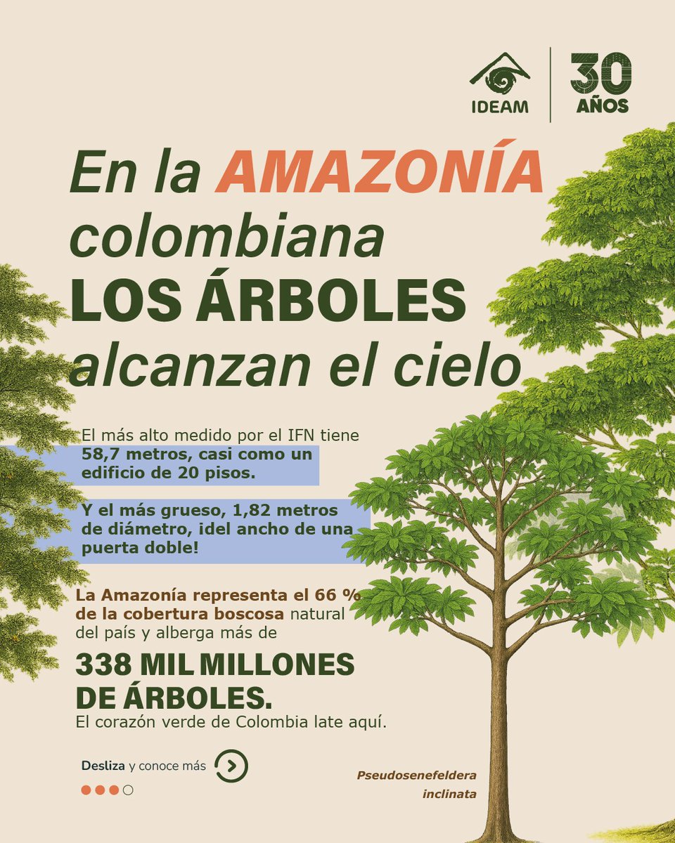 IDEAMColombia's tweet image. Ya está disponible el Inventario Forestal Nacional del #Ideam: una herramienta clave para la gestión, planificación y conservación de los bosques naturales de Colombia.
Consulta aquí el informe completo: bit.ly/4oIA7UE