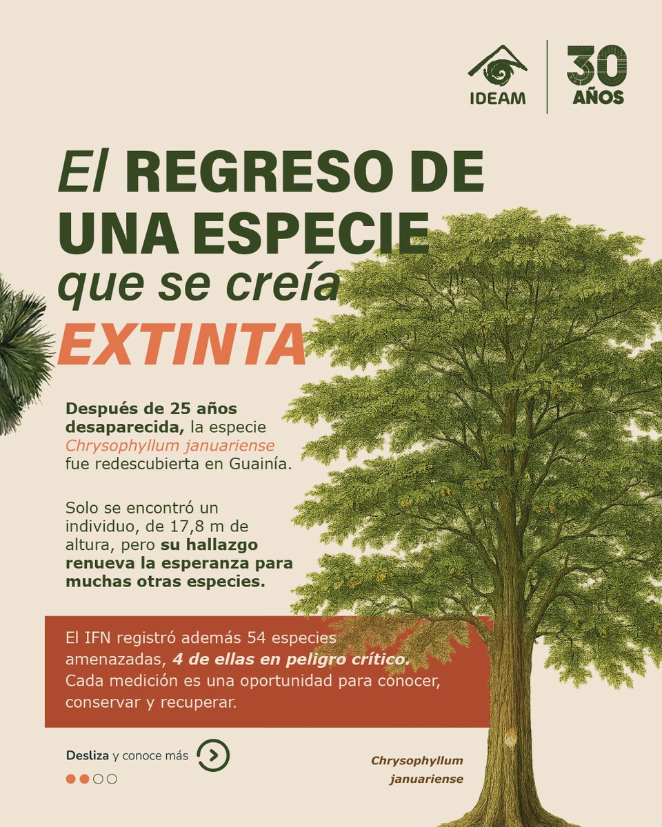 IDEAMColombia's tweet image. Ya está disponible el Inventario Forestal Nacional del #Ideam: una herramienta clave para la gestión, planificación y conservación de los bosques naturales de Colombia.
Consulta aquí el informe completo: bit.ly/4oIA7UE