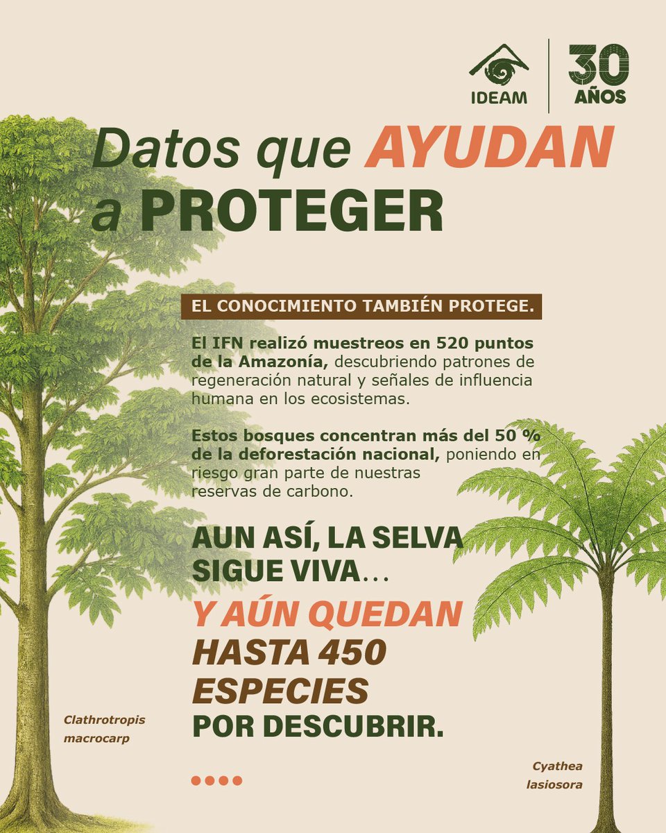 IDEAMColombia's tweet image. Ya está disponible el Inventario Forestal Nacional del #Ideam: una herramienta clave para la gestión, planificación y conservación de los bosques naturales de Colombia.
Consulta aquí el informe completo: bit.ly/4oIA7UE