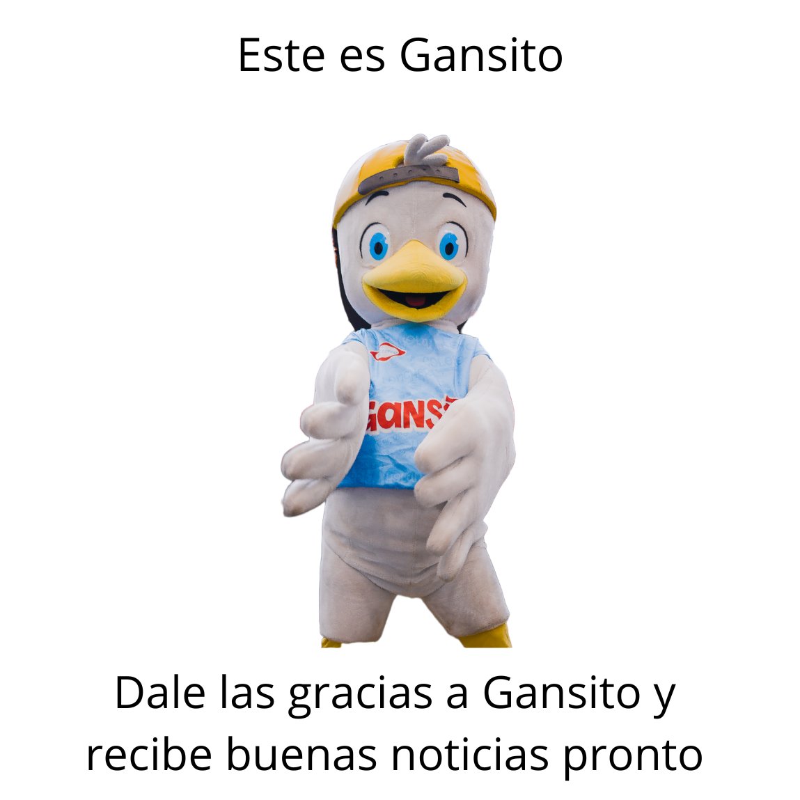 RamoColombia's tweet photo. #FelizViernesATodos #FelizViernes https://t.co/HQIs98YK8S
