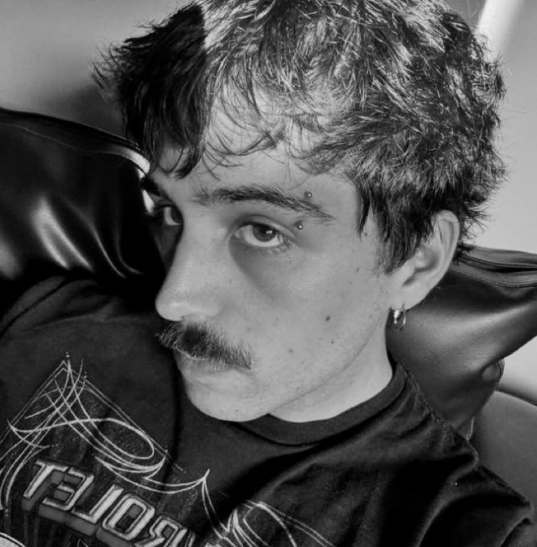 (🍋) ‘ acampamento limoeiro tweet media