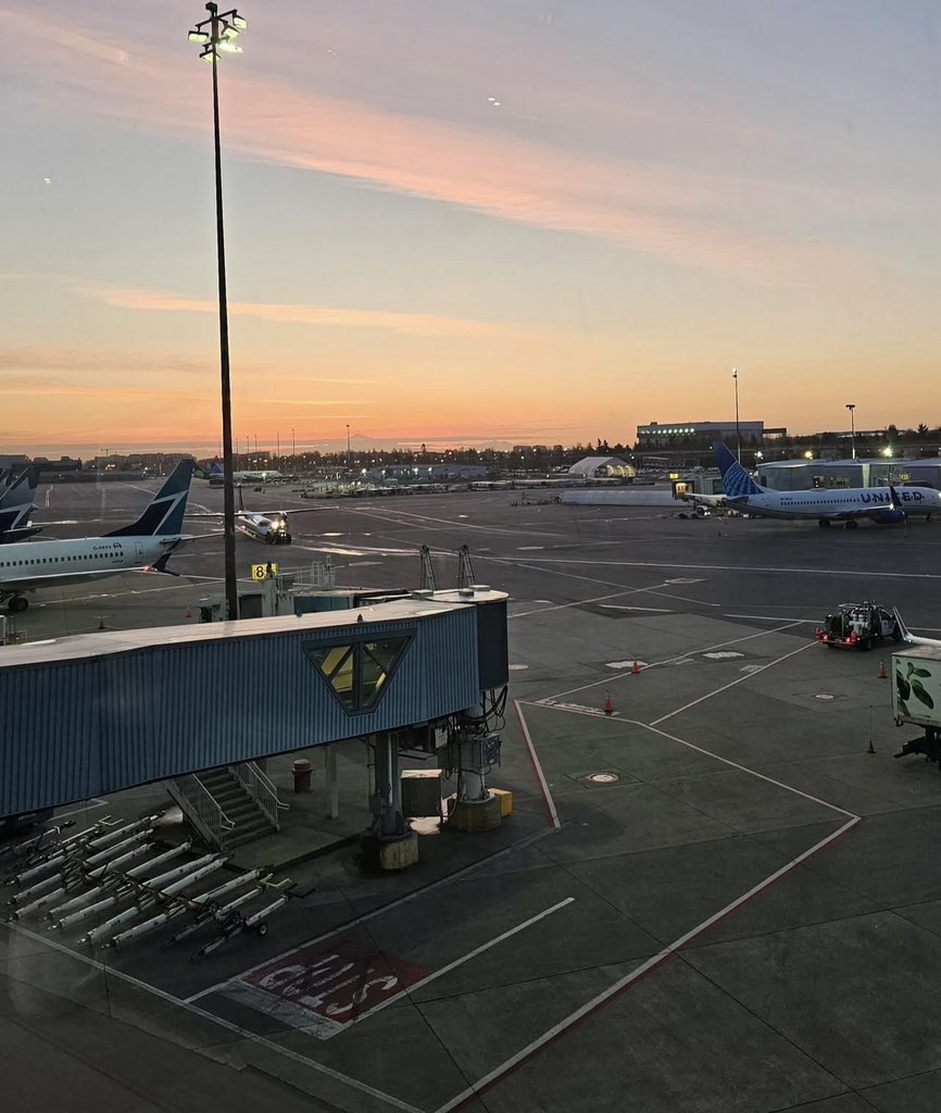 Taking a break to breathe, explore, and refill my photo gallery. Vacation time! Will not be active.
Tc everyone see you soon.✈️