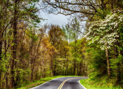 Asla üç şey olma; Ümitsiz olma, Şükürsüz olma, Sabırsız olma... Hz.Ali