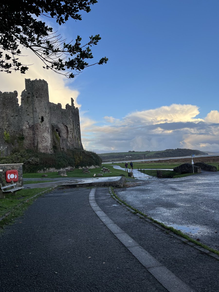 Jacqueline Harrett tweet media