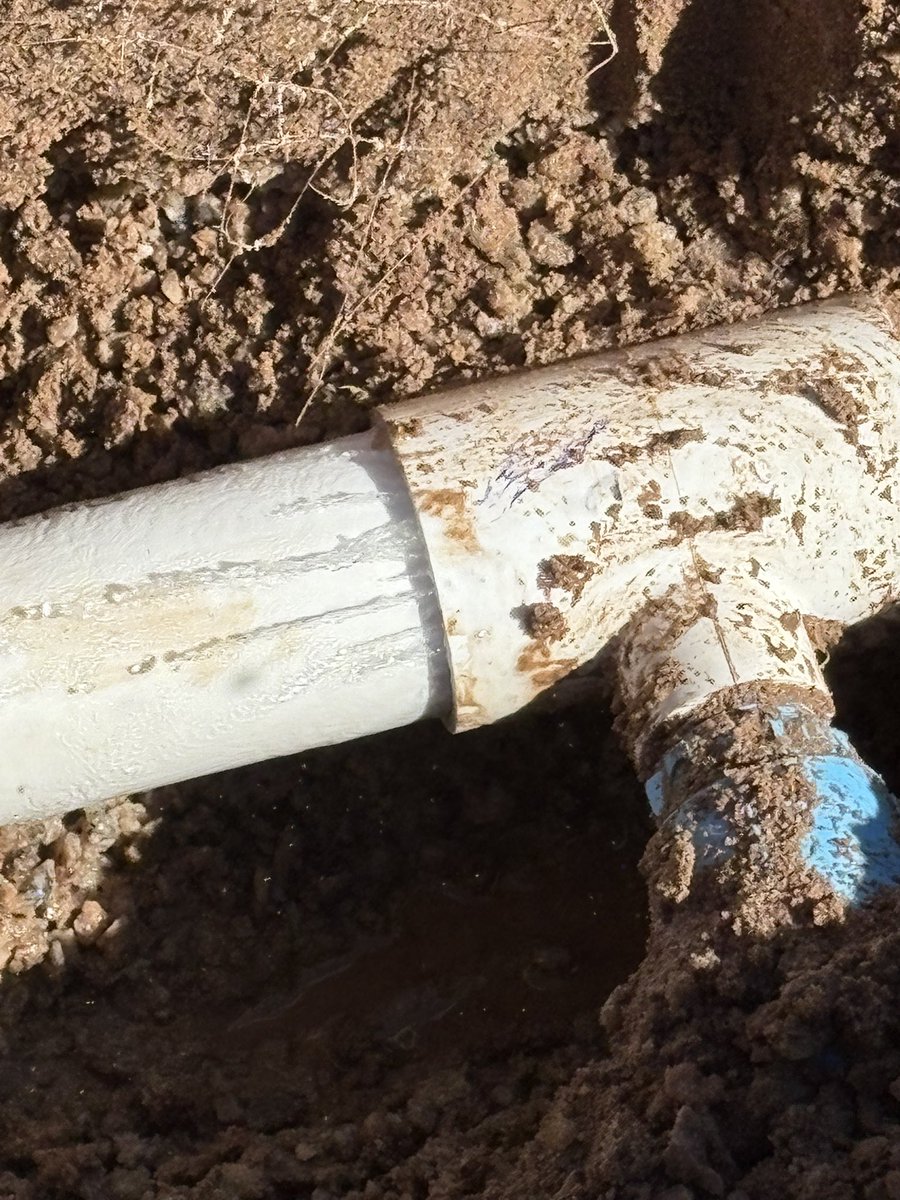 Tim Siegel tweet media