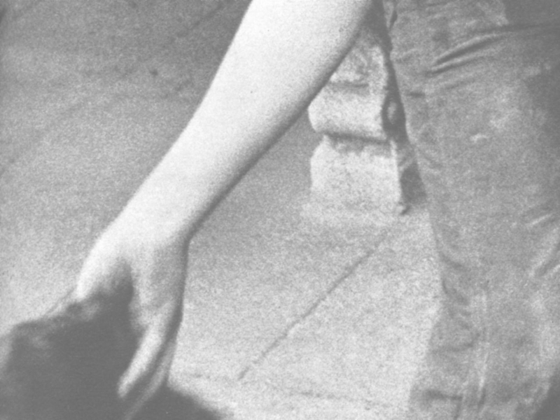 Eve Beglarian tweet media