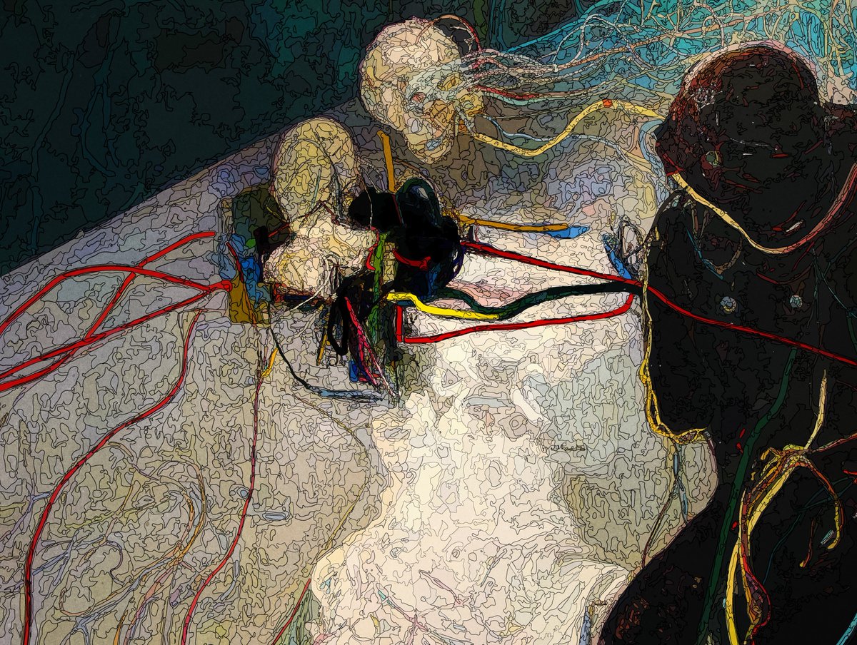 Toni Marinara tweet media