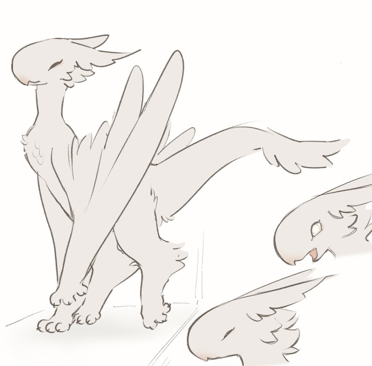 TateOfTot tweet media