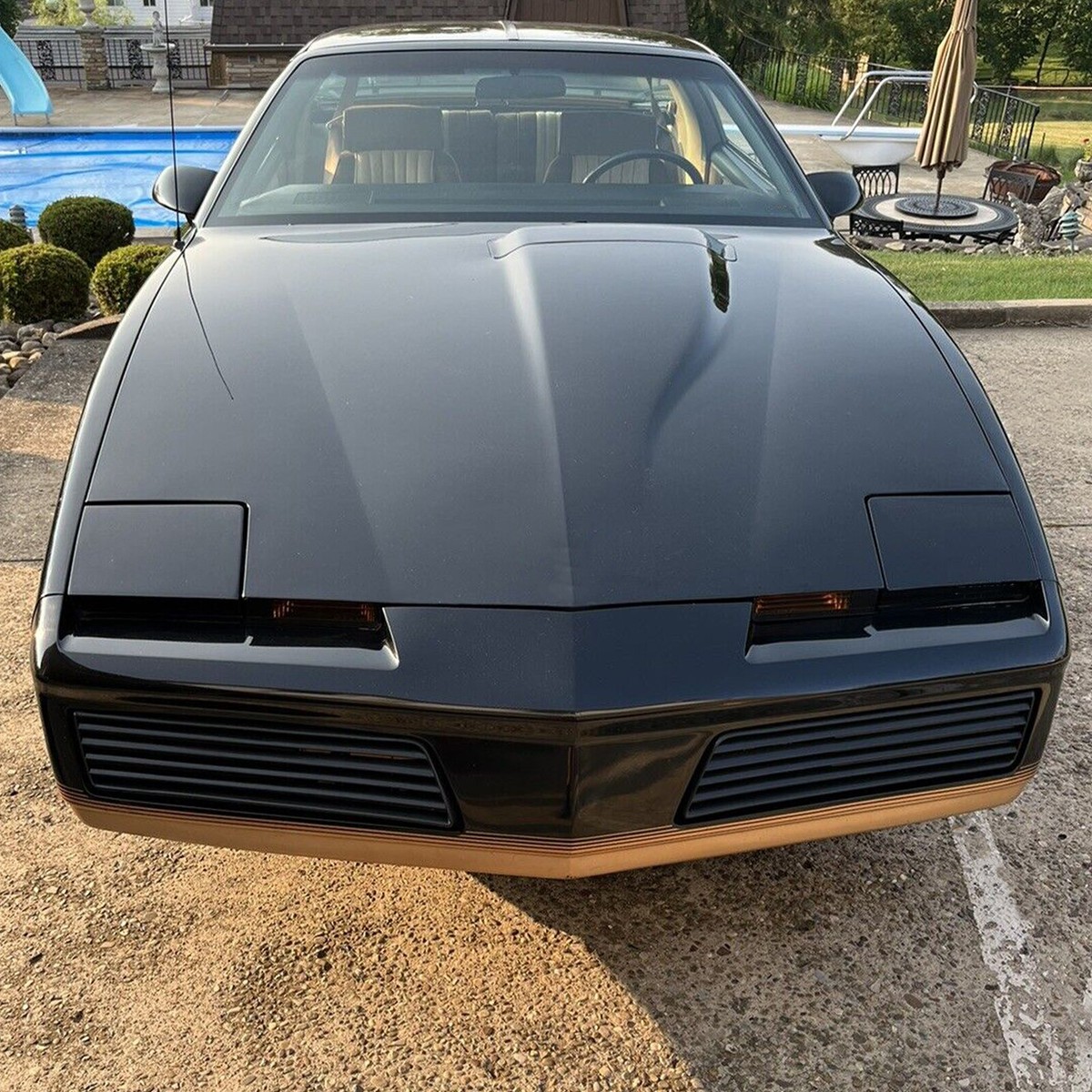 nico 🦖🇵🇸🇨🇳 (@niconicotina_) on X