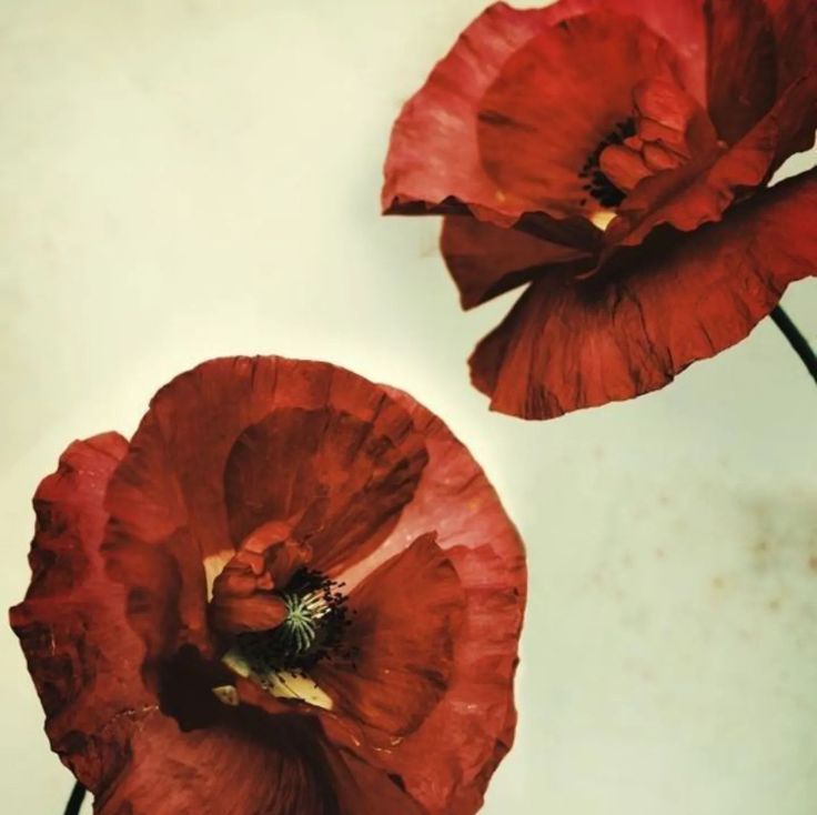 BAMQUETTE's tweet image. I could be fresh air, might be the girl of your dreams
There's no need to hide if you're into me
'Cause I'm into you quite intimately
And maybe one night could turn into three
Well, I'm down to see