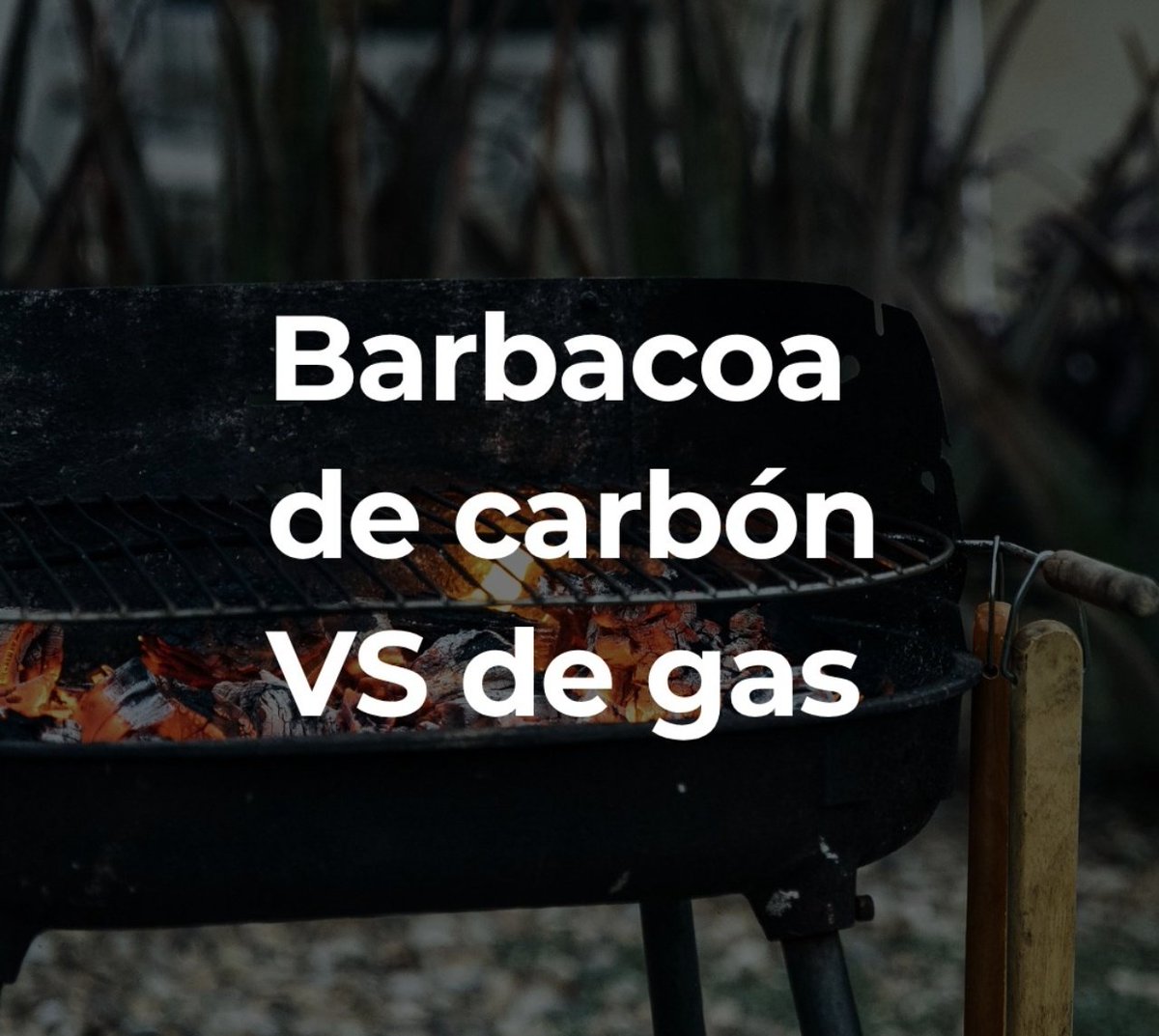 La Carboneria, desde 1934 tweet media
