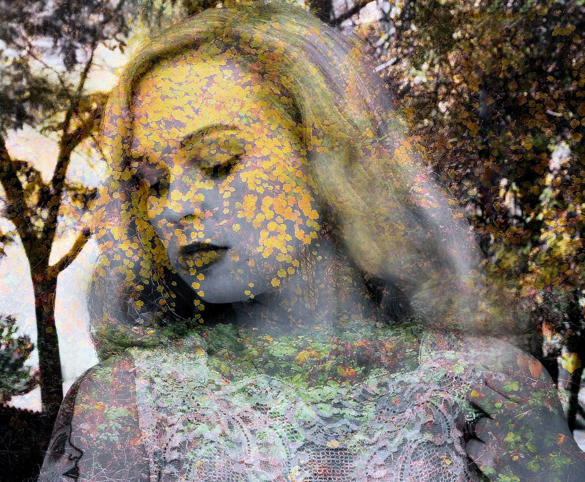 marilynmac958's tweet photo. A Fall Forest Nymph... https://t.co/tGEzvJcvS5