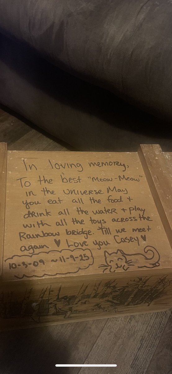 thank you everyone who wishes condolences on my cat Casey who passed away… i just rather not talk about details further. his absence has been hugely noticed and i have a void in my heart. at least he’s not in pain anymore and is in heaven waiting patiently for me