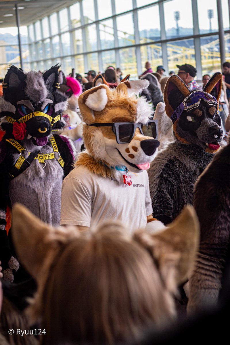 If you have a nose do NOT walk behind Reef and Rex 👃☹️🤢⚠️

#ItStinksBackHere

#FursuitFriday 
📸: <a href="/Ryuu130/">Ryuu 🏳️‍🌈 🔜 🟦☁</a>