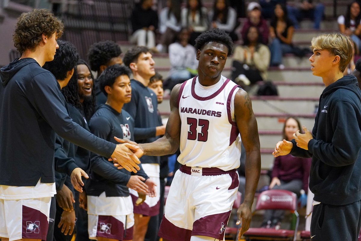 Michael Sun tweet media