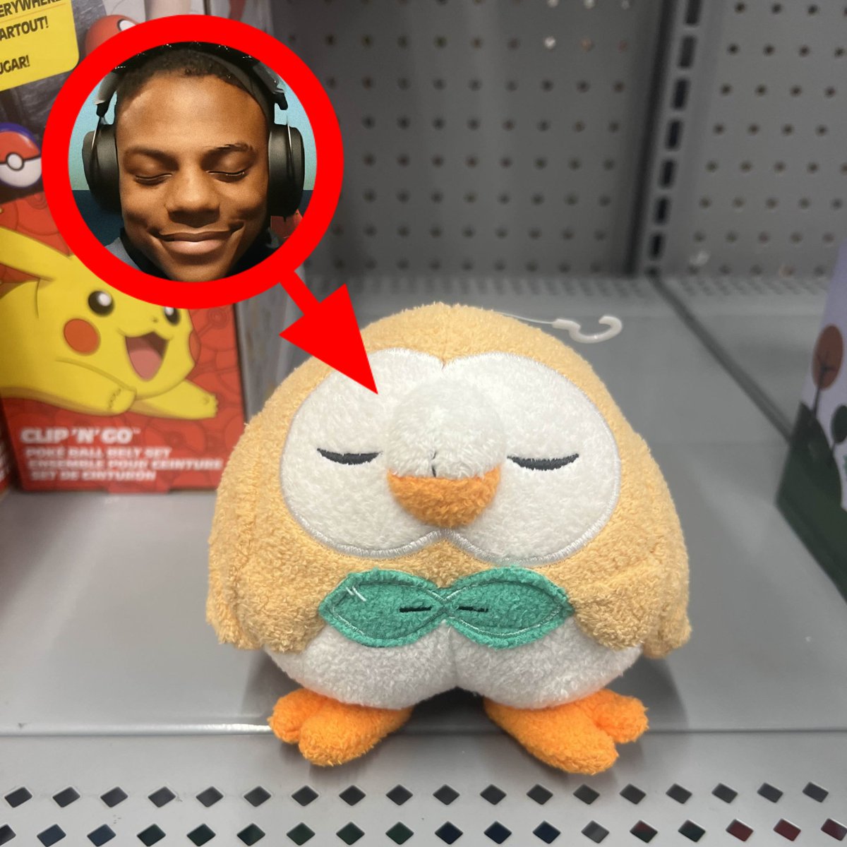 Rowlet why you trying not to laugh bruh that's disrespectful as shit