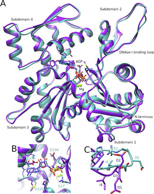 Journal of Cell Biology tweet media