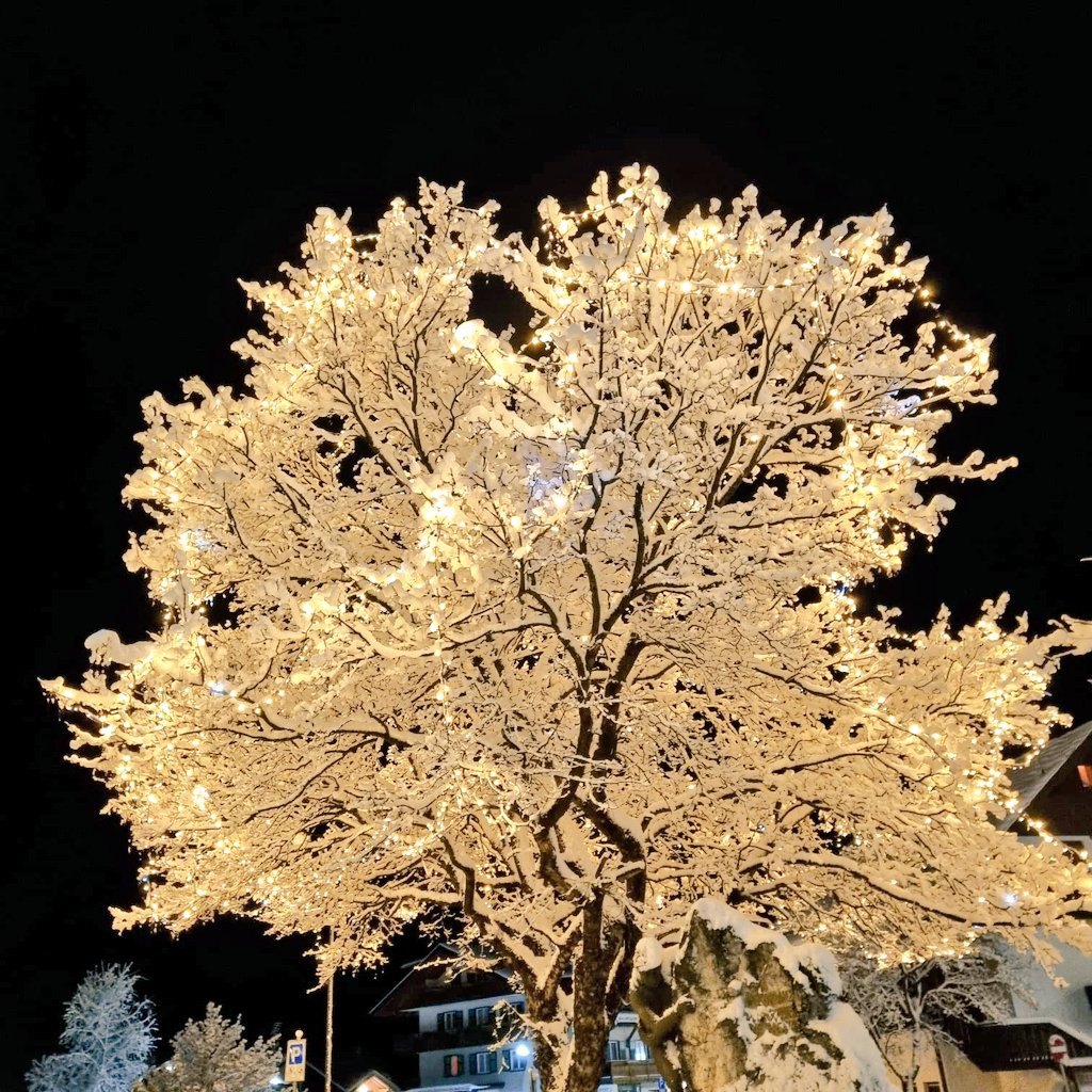 eva_joy1's tweet image. Today’s photo them is: Let There Be Light ✨
Share yours! 
#LetThereBeLight