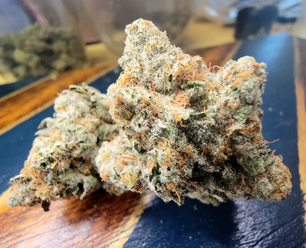 ScottieSpliffen tweet media