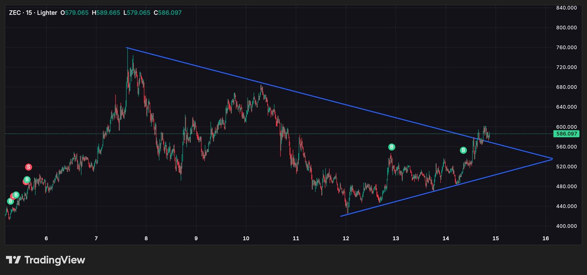 Penguinpecker tweet media