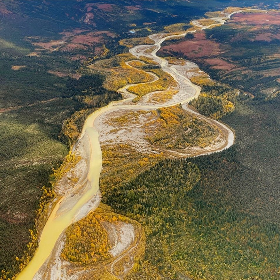Climate change is causing permafrost (ground that has been frozen for thousands of years) to thaw, exposing minerals that were previously locked away, creating a toxic environment for aquatic life. science.org/content/articl…