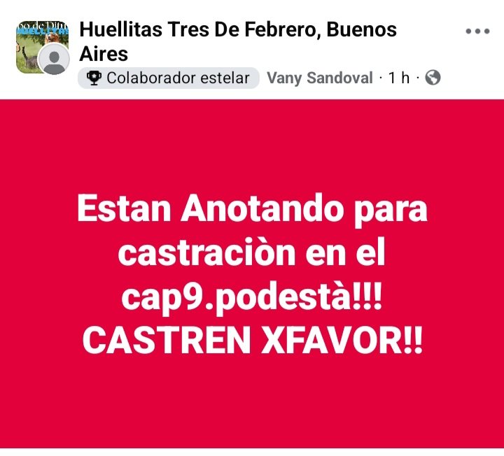 protegealanimal's tweet image. TRES DE FEBRERO - PABLO PODESTÁ
#TRESDEFEBRERO #VILLABOSCH #CIUDADJARDÍN #MARTÍNCORONADO #PABLOPODESTÁ #PODESTÁ #LOMAHERMOSA #11DESEPTIEMBRE #CHURRUCA  #CASEROS #SANTOSLUGARES #SÁENZPEÑA #VILLARAFFO #JOSÉINGENIEROS #CIUDADELA #ZONAOESTE #GRANBSAS #BSAS #CONURBANO