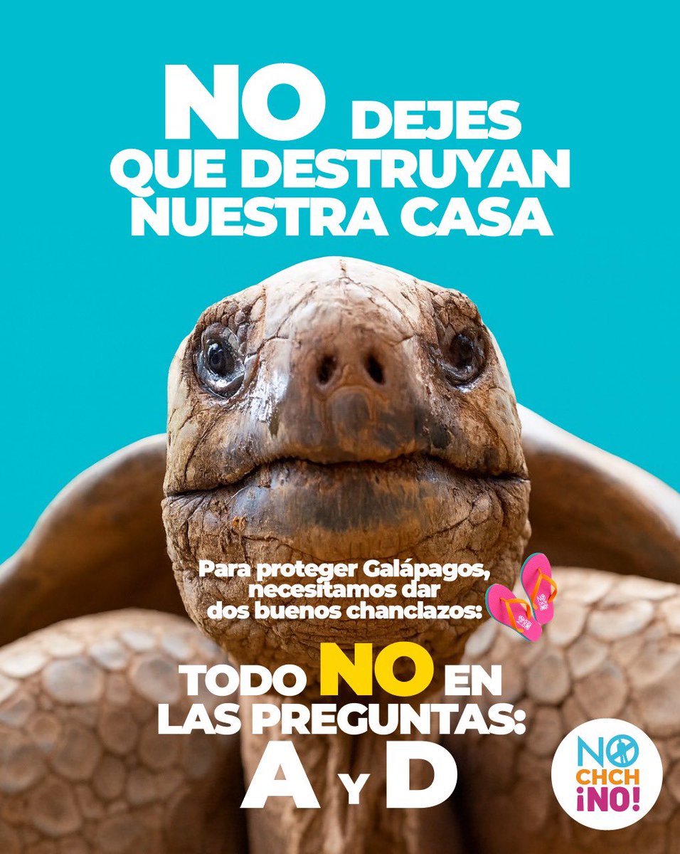 NOchchNO's tweet image. Para proteger a Galápagos de la REAL amenaza de la instalación de una base militar en las islas, hay que votar NO , al menos en las preguntas A y D.

Porque el que no te la hace de entrada, te la hace de salida, y si le decimos NO en la pregunta de las bases, pero gana en la…