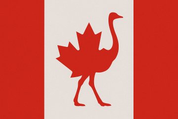 ShareawareCdn's tweet image. DIY