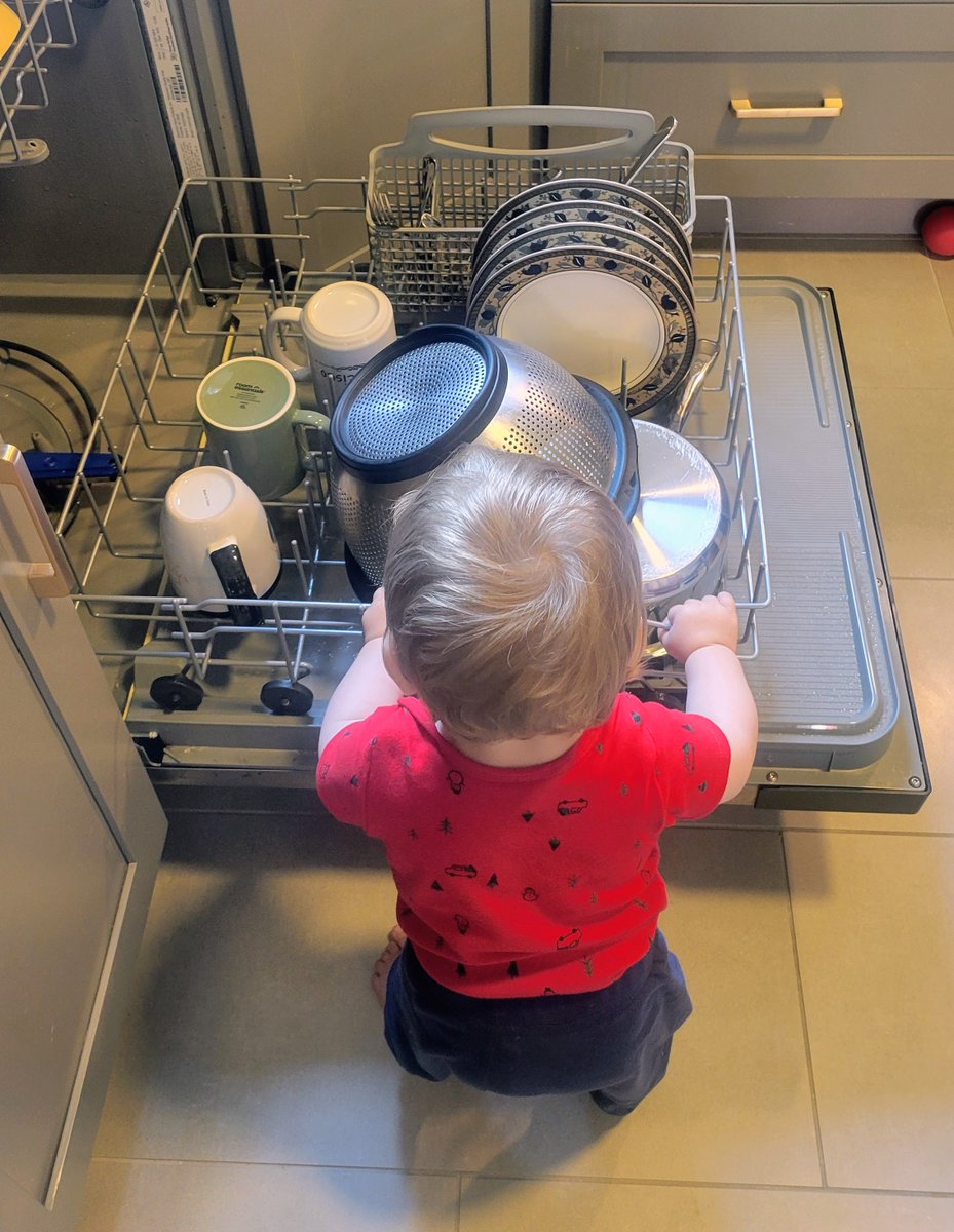 Erin Braid tweet media