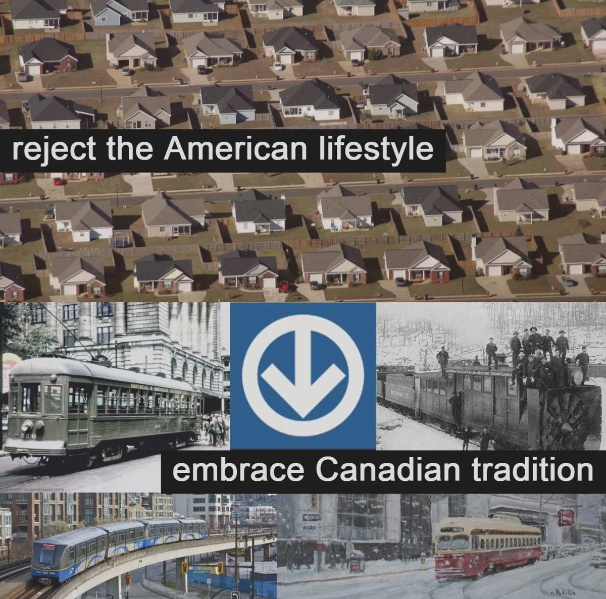 Syntheticus Humanitus tweet media