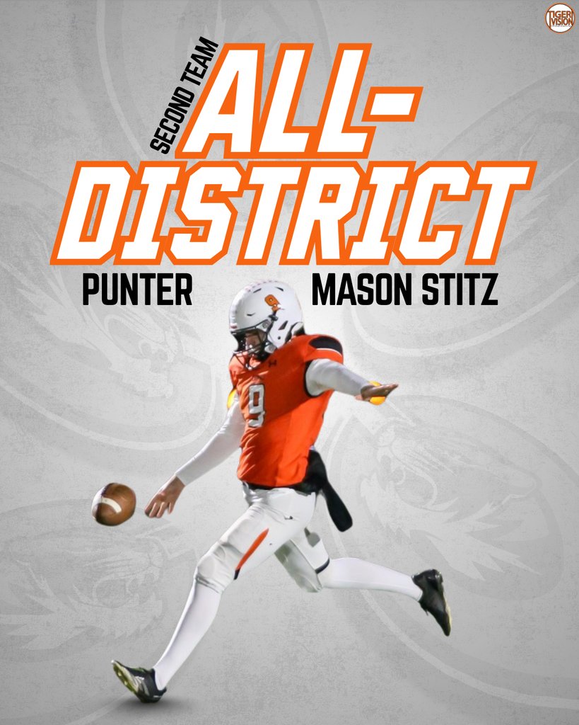 Tiger Vision tweet media