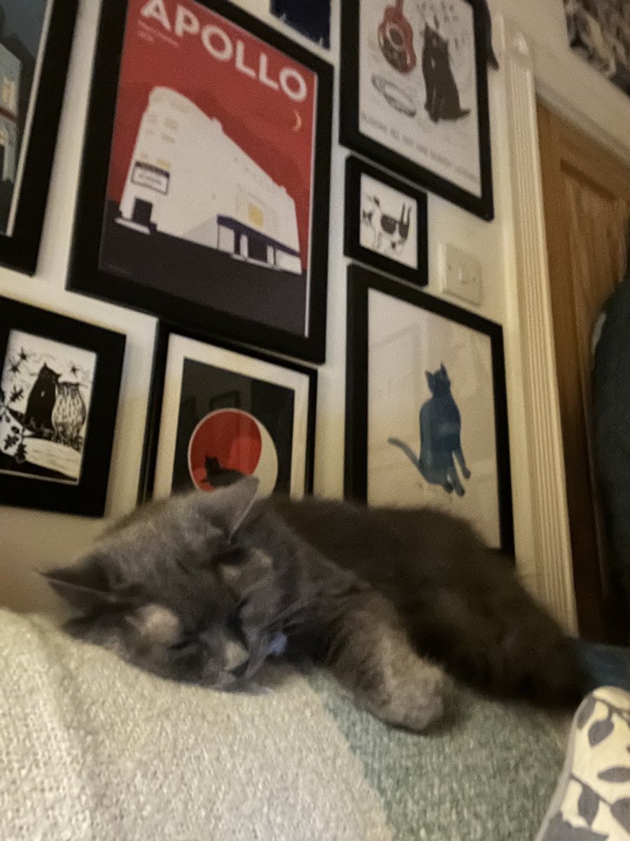 BenchSue's tweet image. Quiet night in here ⁦@bob_wynn⁩