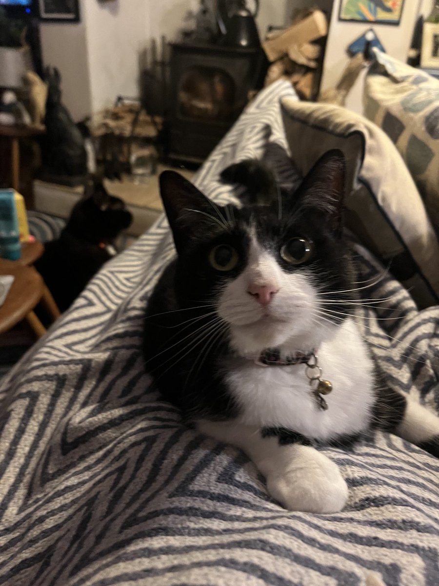 BenchSue's tweet image. Quiet night in here ⁦@bob_wynn⁩