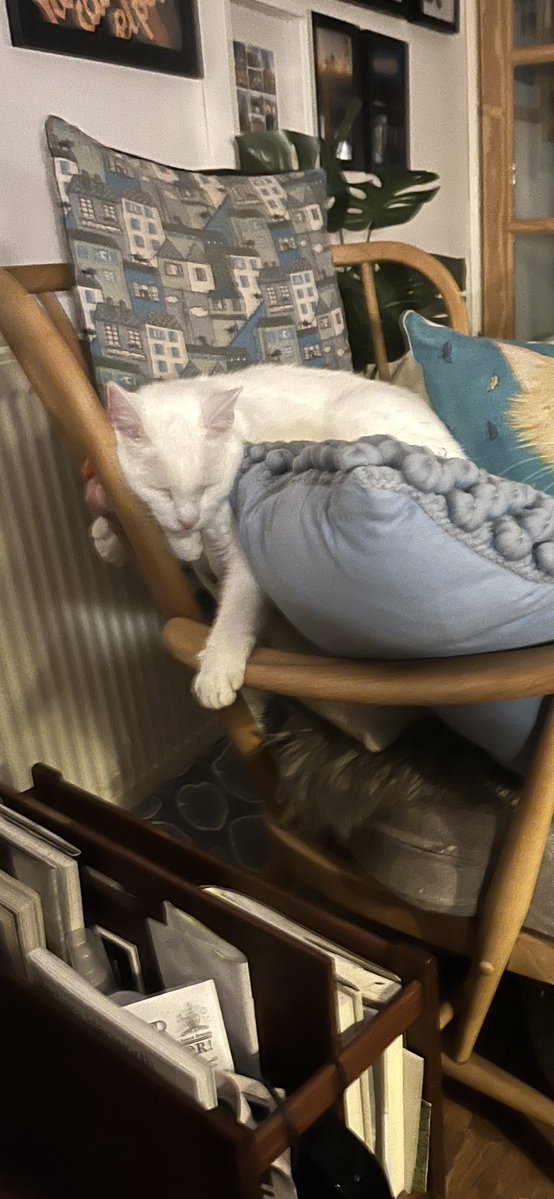 BenchSue's tweet image. Quiet night in here ⁦@bob_wynn⁩