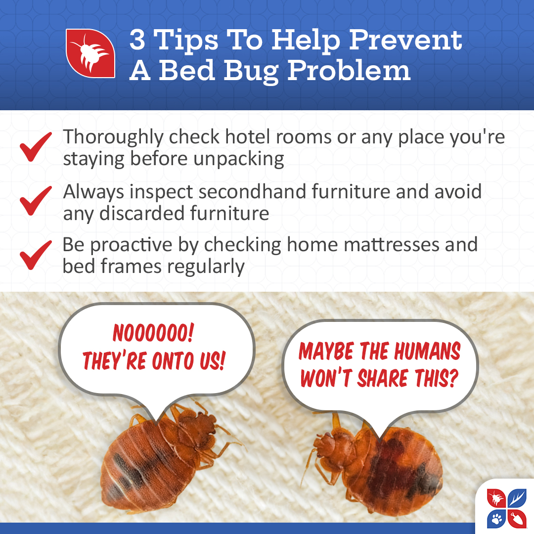 mypestcontrol's tweet image. Did you know bed bugs can hitch a ride into your home on luggage, clothing, even furniture?🧳🏠🛋️ 

Stop bed bugs from sneaking in with these simple prevention tips. Visit bit.ly/49kUwu1 to learn more about bed bug control at DoMyOwn✅ 

#pestcontrol #bedbugs #travel