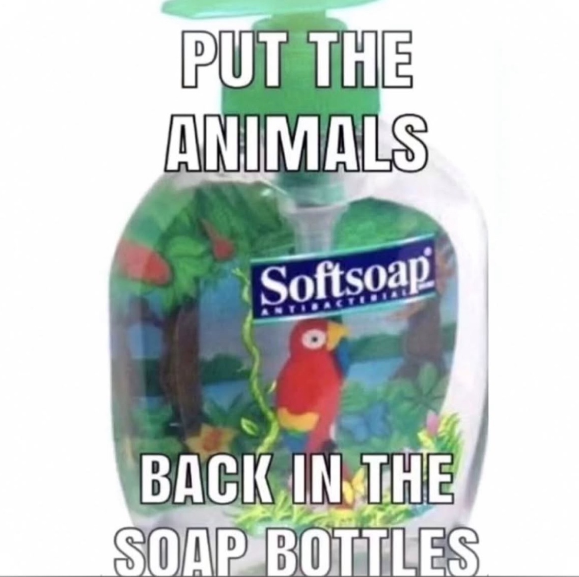 Respectful Memes (@respectfulmemes) on Twitter photo 