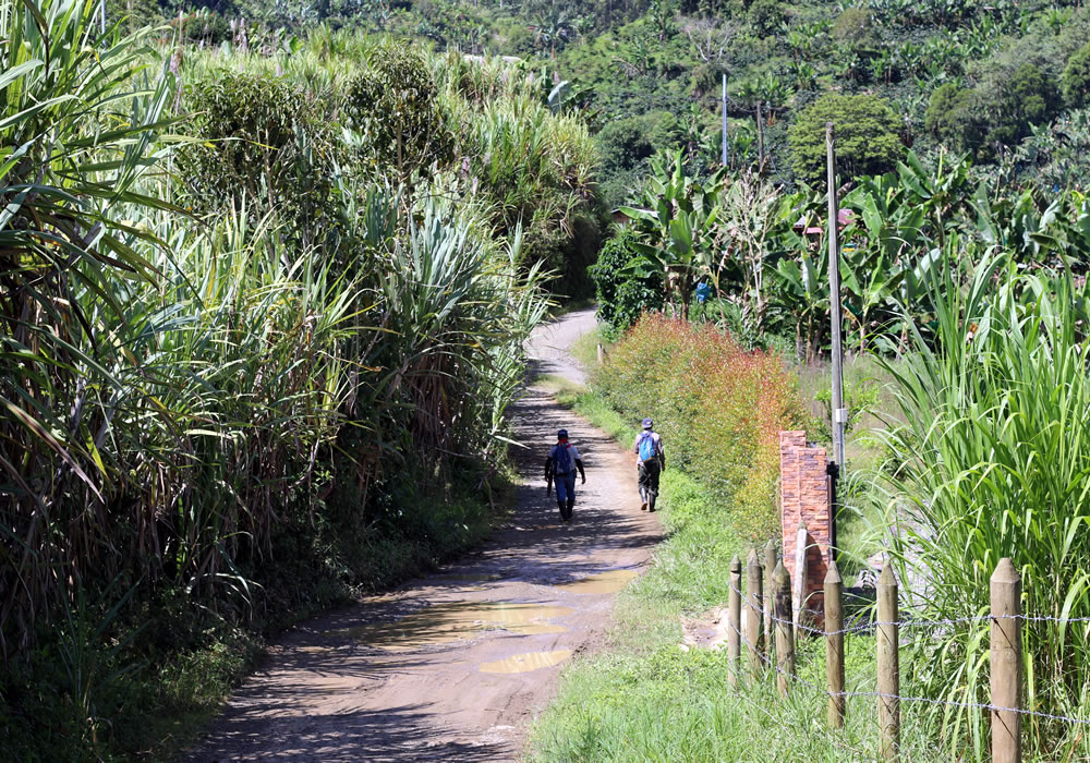 Pedaleando Alma | Naturaleza y Aventura en Jardín tweet media