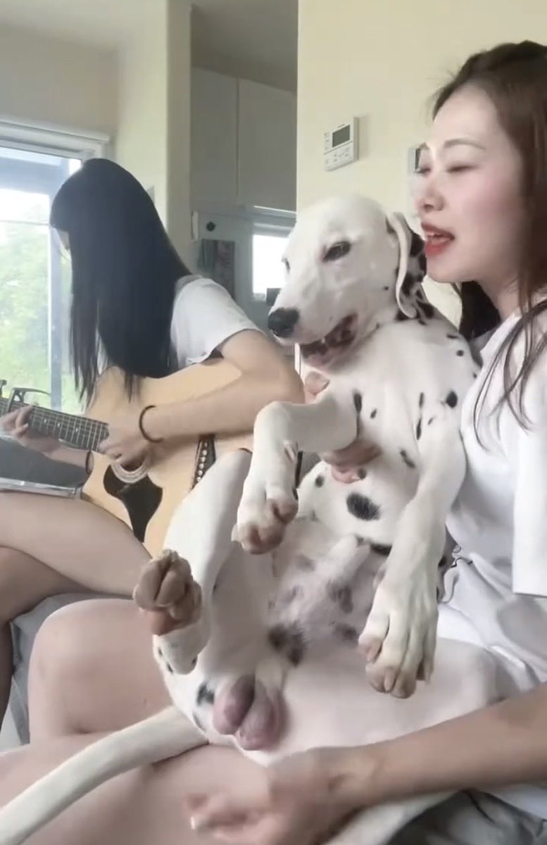 弹狗相庆🤣!
请前往油管频道“猩猩摄影社”观看！