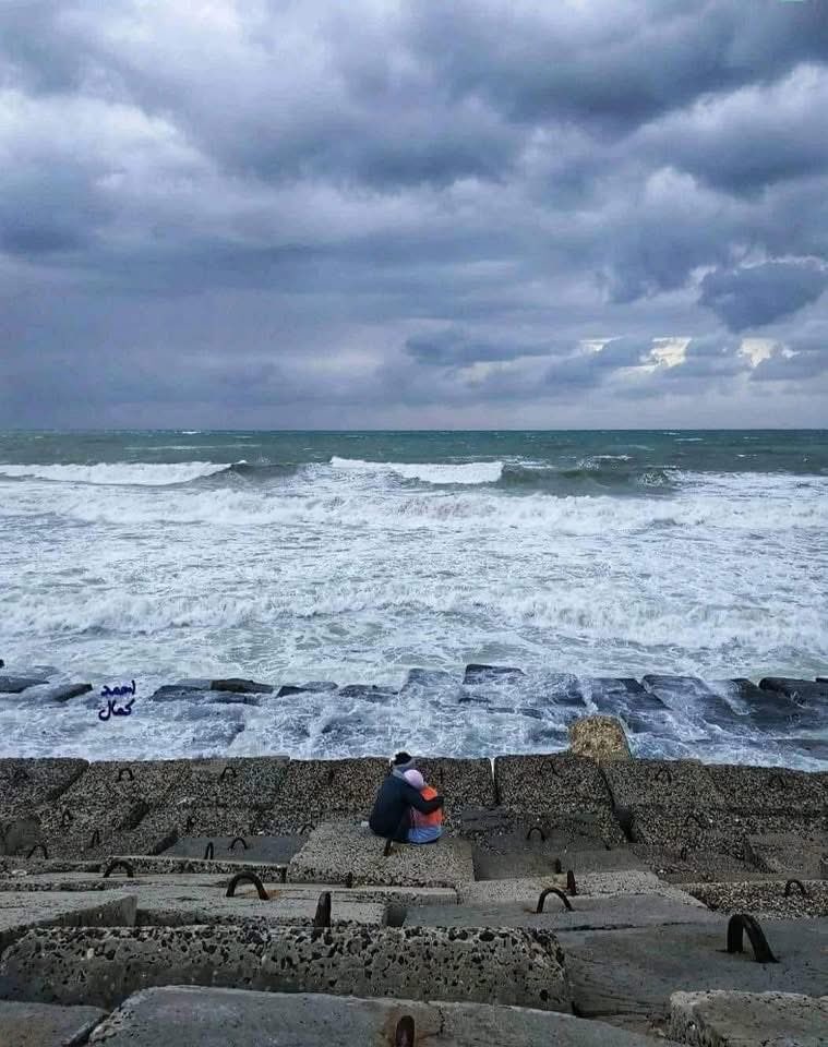 ⛈️☔️🕊️✨