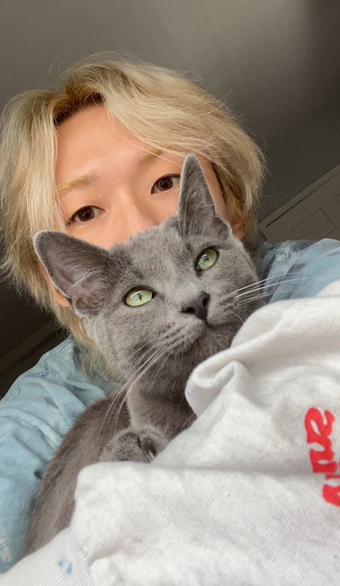 over a month now fostering this kitty (i love her)