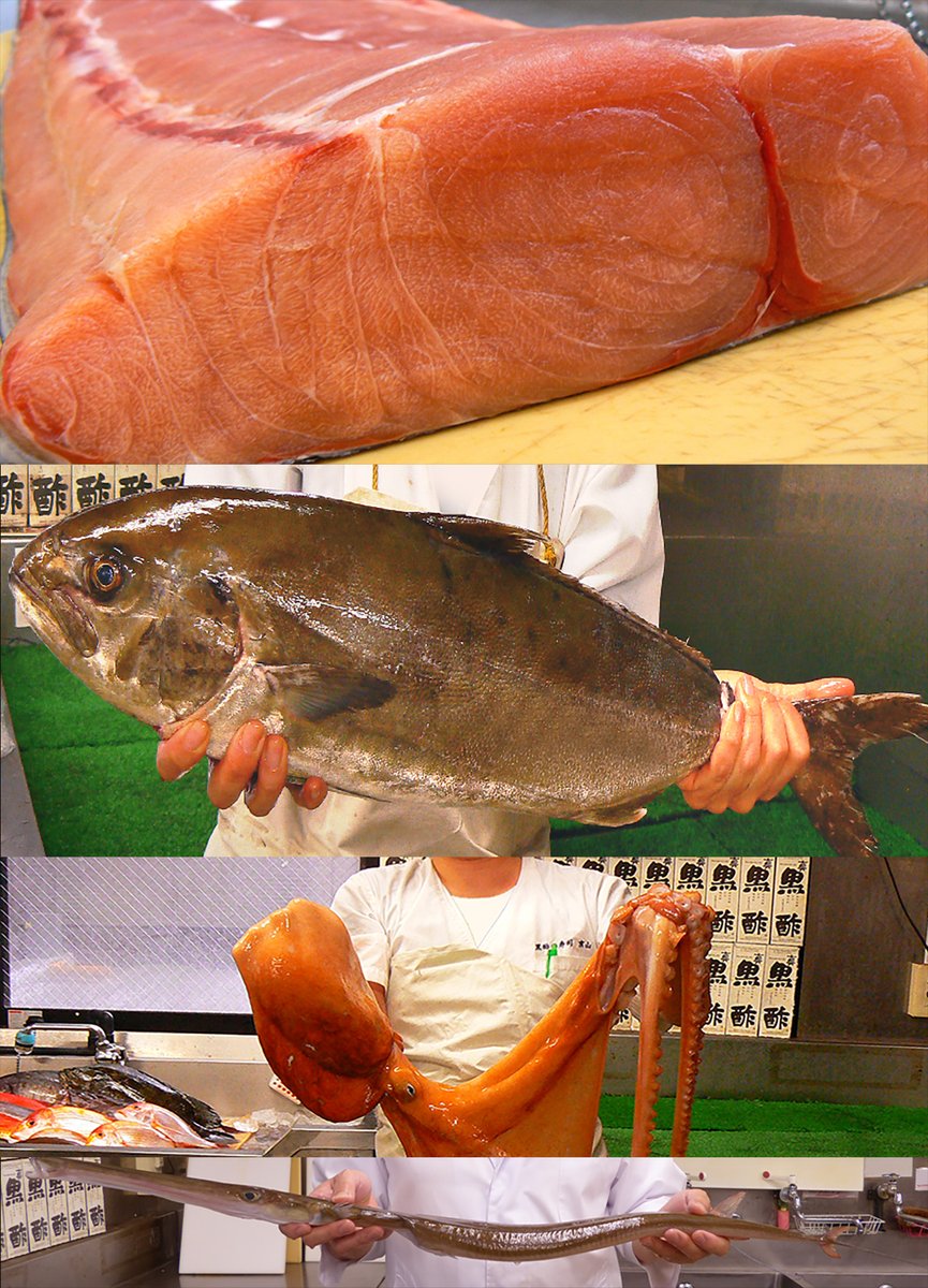 スリーニャンズ🐝🐱🍙の回覧板🗒️ (@z2OhJzwKzU8tLuv) / Posts / X