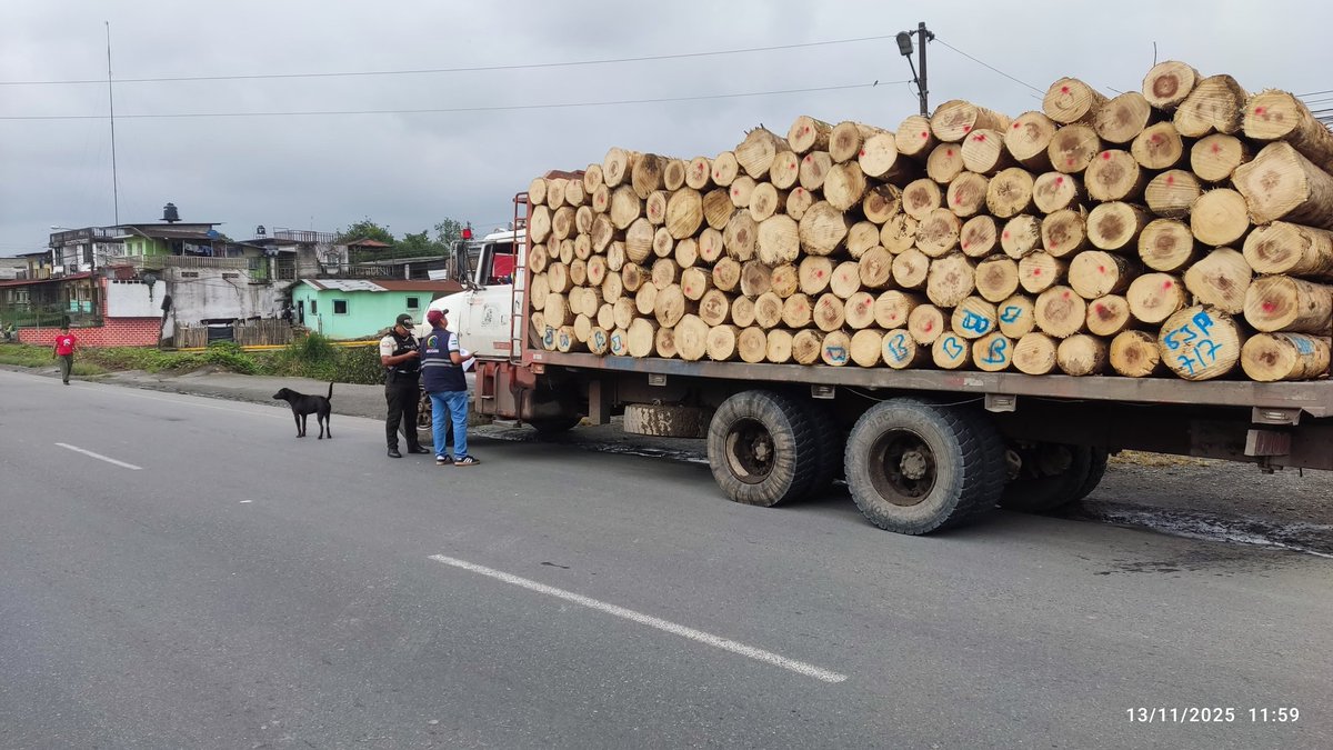 #LosRíos | 🌱🚔 Junto a <a href="/PoliciaEcuador/">Policía Ecuador</a> ejecutamos un operativo de control de material vegetal en Buena Fe, asegurando el cumplimiento de la normativa para proteger el estatus fitosanitario del país.
#PrevenciónSanitaria