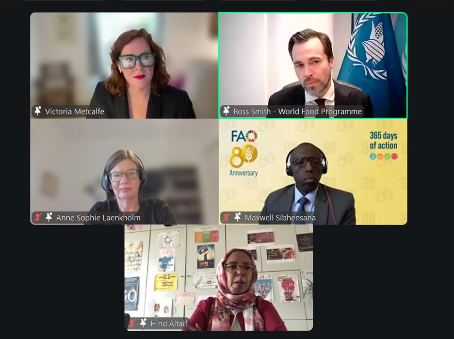 Global Protection Cluster tweet media