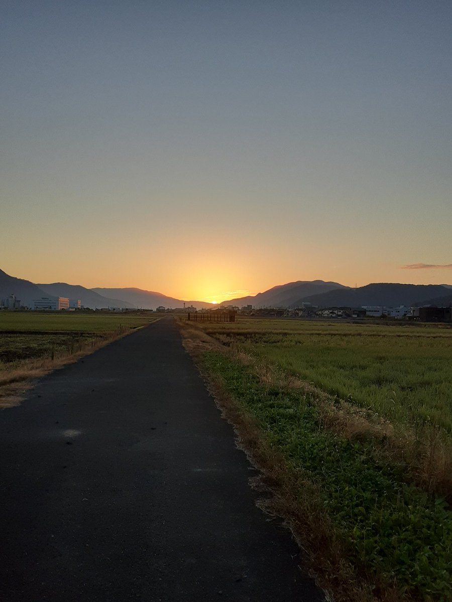speck_ot's tweet photo. 休日でも、起床時刻は平日と同じにしています。 https://t.co/DfTqGfEzx4