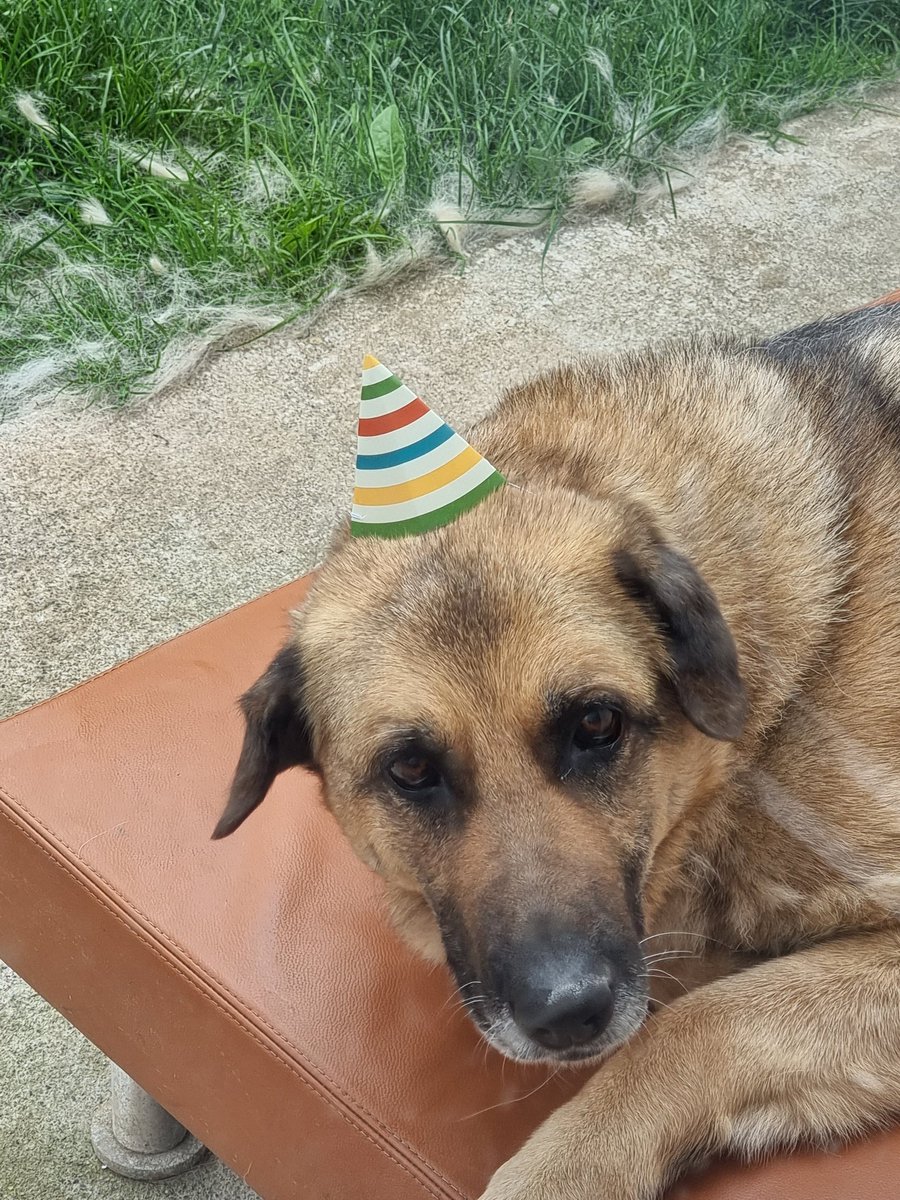 Matt Hayes 🇮🇪 tweet media