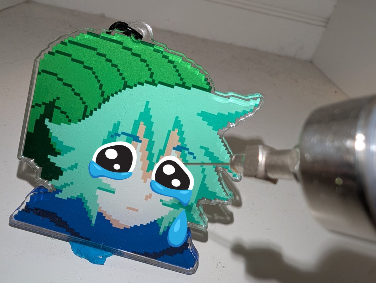 Amber (@cactiflowerly) on Twitter photo 