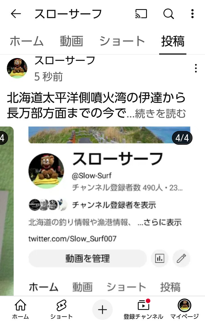 くまたろう やわたろう🐱くまたろう🐻 (@Yawakuma4711) on X